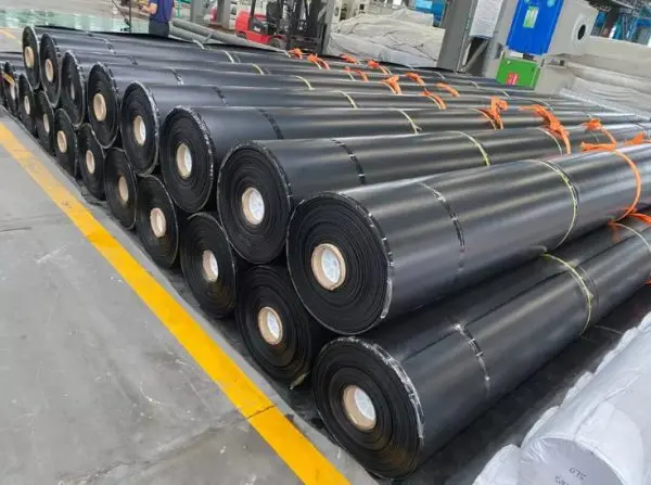 Màng HDPE 1.5mm - Giải Pháp Vàng Cho Mọi Công Trình