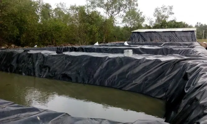Bạt HDPE Bán Lẻ - Giải Pháp Vàng Cho Mọi Công Trình