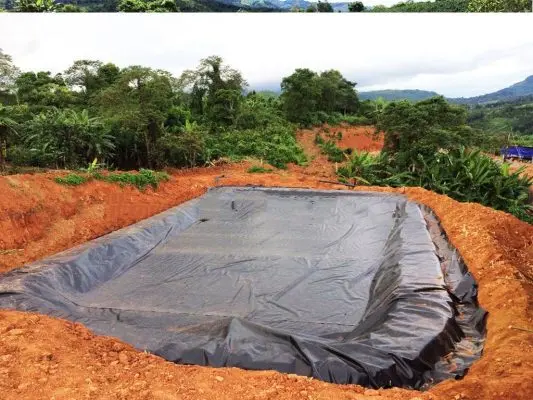 Bạt HDPE - Giá Cả Hợp Lý và Ứng Dụng Đa Dạng Trong Đời Sống