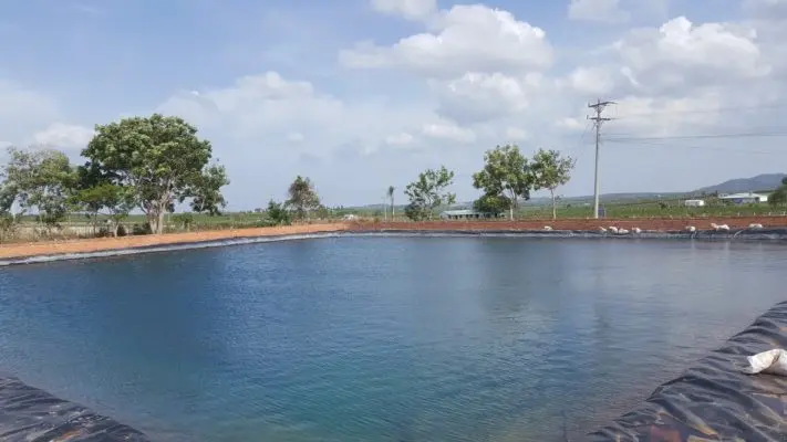 Bạt Phủ HDPE -