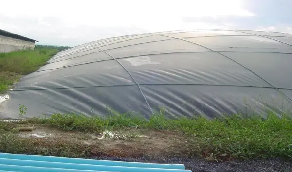 Giá Hầm Biogas HDPE - Giải Pháp Năng Lượng Xanh Bền Vững