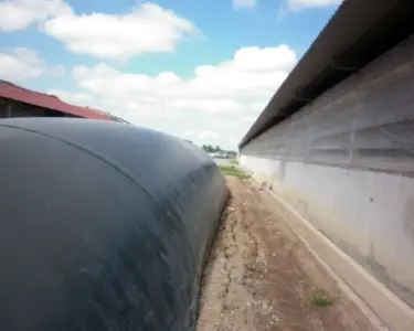 Giá Hầm Biogas HDPE - Giải Pháp Năng Lượng Xanh Bền Vững