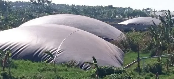 Giá Hầm Biogas HDPE - Giải Pháp Năng Lượng Xanh Bền Vững
