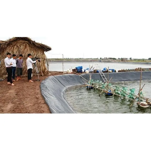 Màng HDPE 0.5mm -