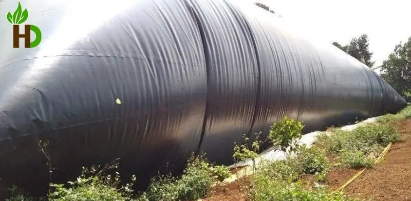Thi Công Hầm Biogas Giá Rẻ - Giải Pháp Xanh Cho Nông Thôn Việt