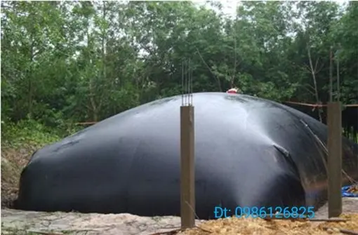 Thi Công Hầm Biogas Giá Rẻ - Giải Pháp Xanh Cho Nông Thôn Việt