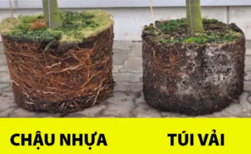 Bán Vải Địa Trồng Cây - Giải Pháp Nông Nghiệp Bền Vững
