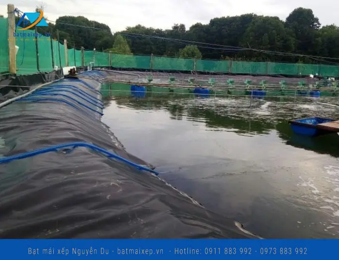 Bạt Lót Hồ Cá - Giải Pháp Vàng Cho Thủy Sinh Bền Vững