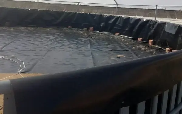Giá Bạt HDPE Lót Hồ - Bí Quyết Vàng Cho Nuôi Trồng Thủy Sản Bền Vững Giá Bạt HDPE Lót Hồ - Bí Quyết Vàng Cho Nuôi Trồng Thủy Sản Bền Vững