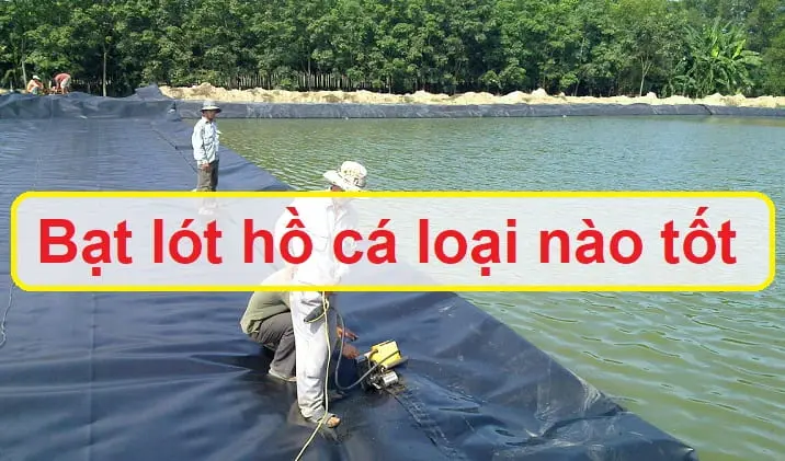 Bạt Lót Hồ HDPE - Giải Pháp Vàng Cho Mọi Công Trình Nước