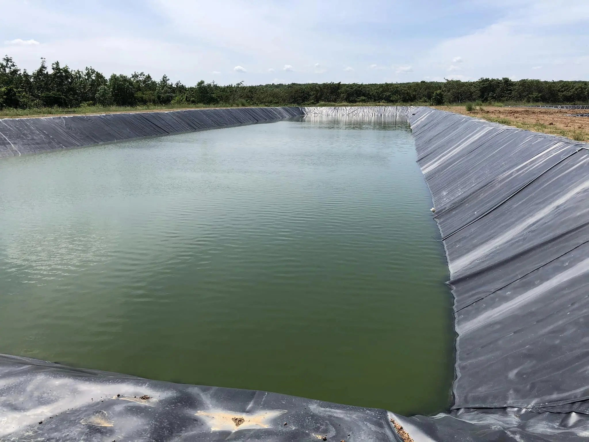 Bạt lót hồ cá HDPE - Giải pháp vàng cho nuôi trồng thủy sản