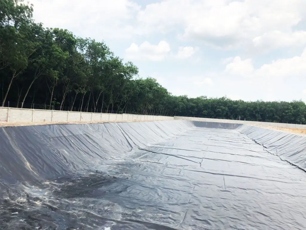 Bạt lót hồ cá HDPE - Giải pháp vàng cho nuôi trồng thủy sản