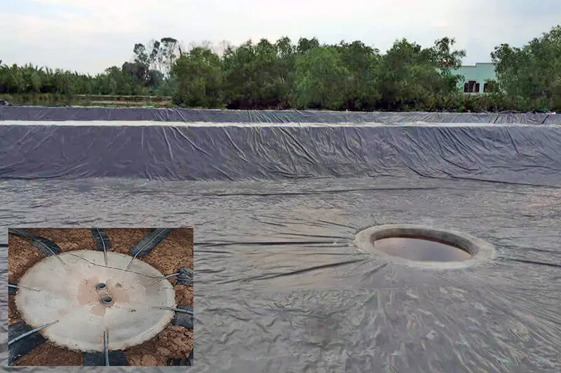 Bạt Lót Ao Tôm - Bí Quyết Nuôi Tôm Bền Vững Thời Hiện Đại