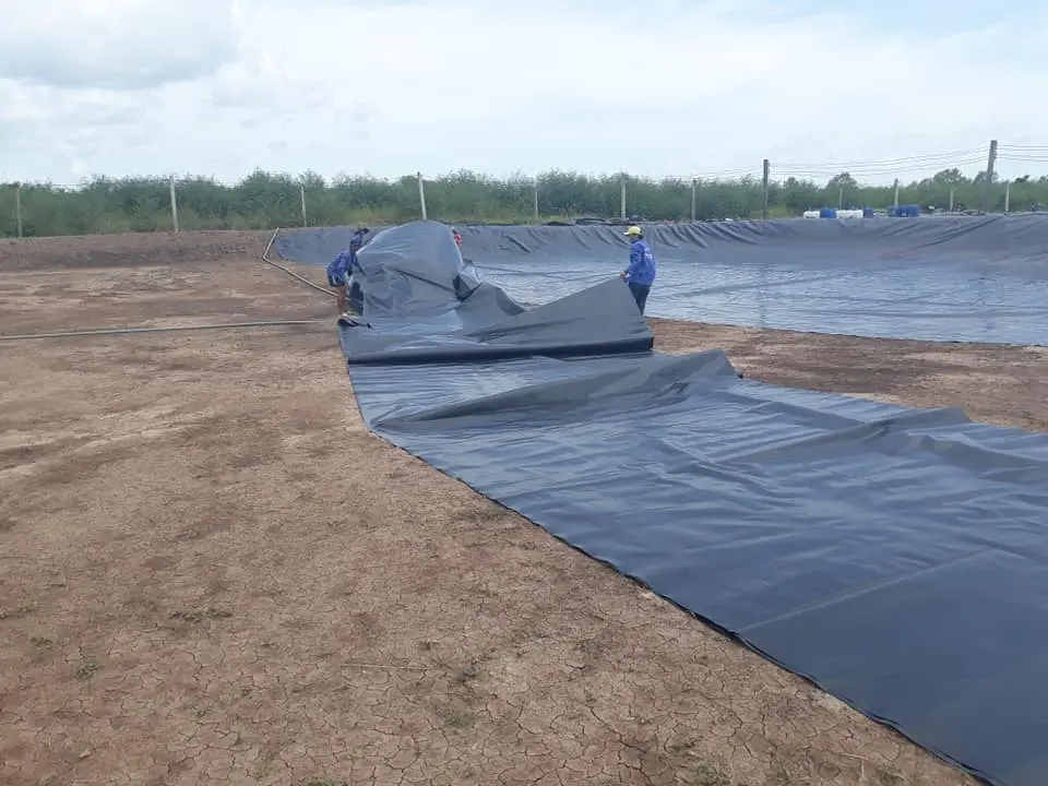 Bạt Lót Ao Tôm - Bí Quyết Nuôi Tôm Bền Vững Thời Hiện Đại
