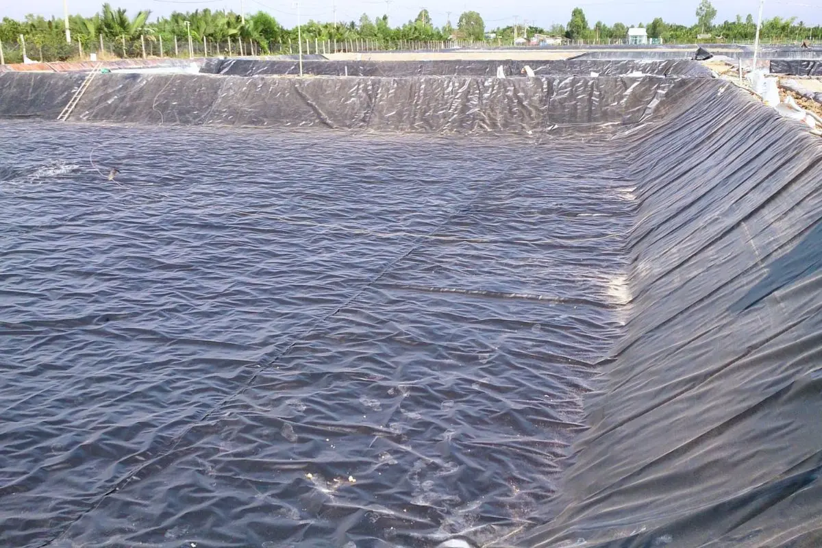 Bạt Lót Ao Tôm - Bí Quyết Nuôi Tôm Bền Vững Thời Hiện Đại