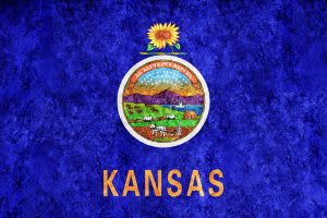 <a href="https://www.freepik.com/free-photo/metallic-kansas-state-flag-kansas-flag-background-metallic-texture_24571797.htm#query=kansas&position=0&from_view=author">Image by Allexxandar</a> on Freepik