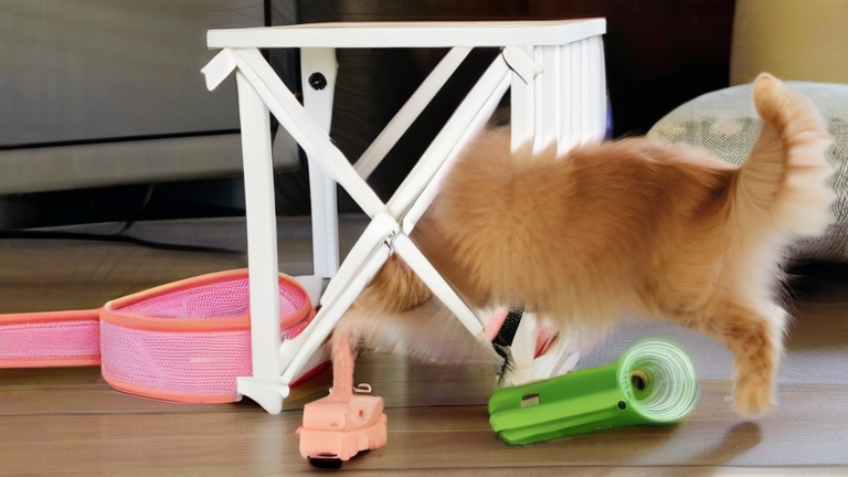 DIY projects for pet tech