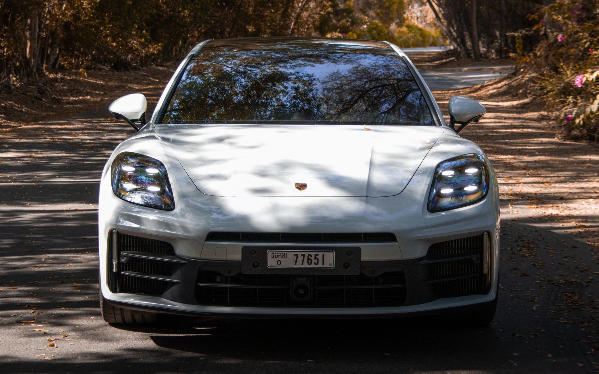 Panamera - image 1