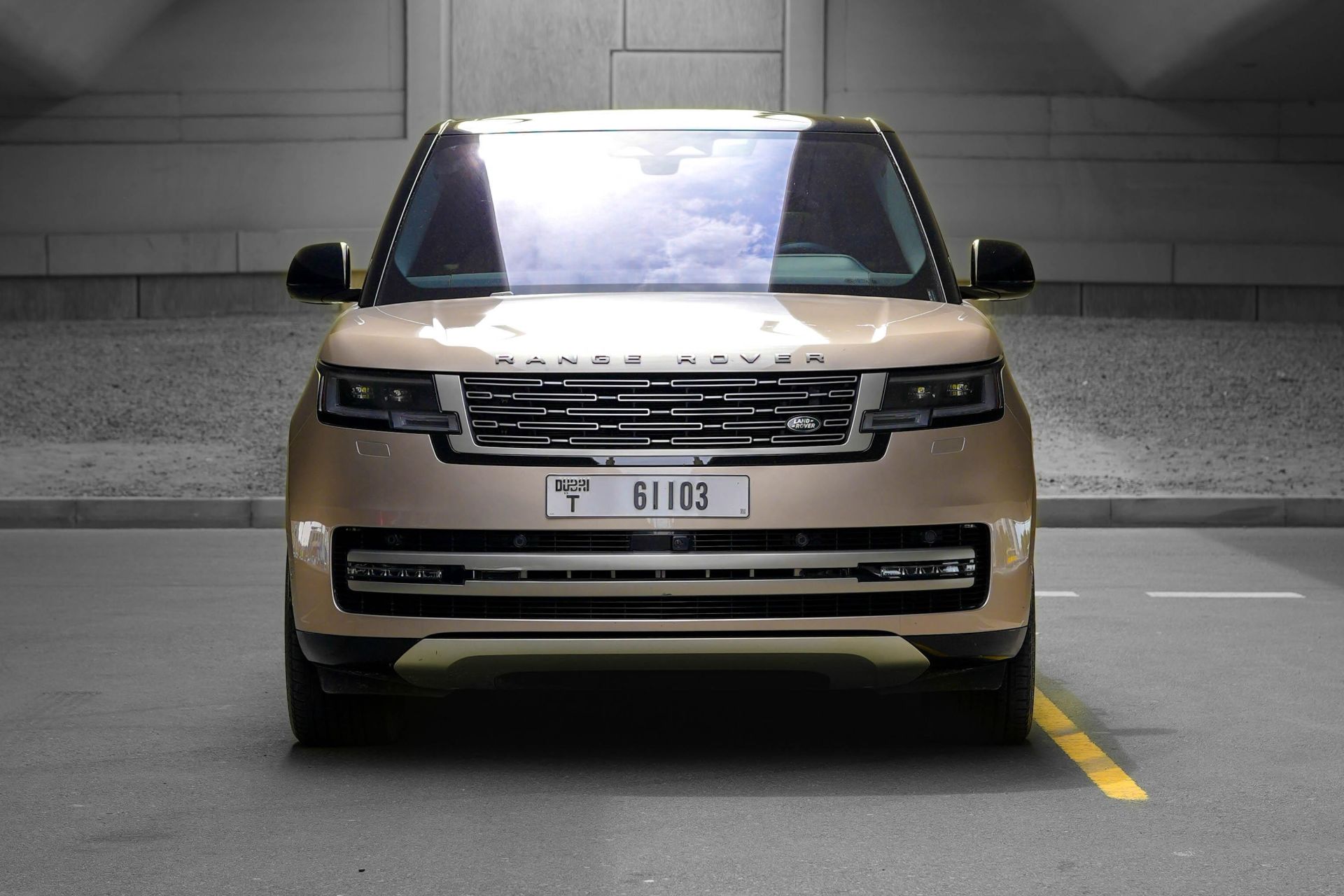 Range Rover Vogue - image 1