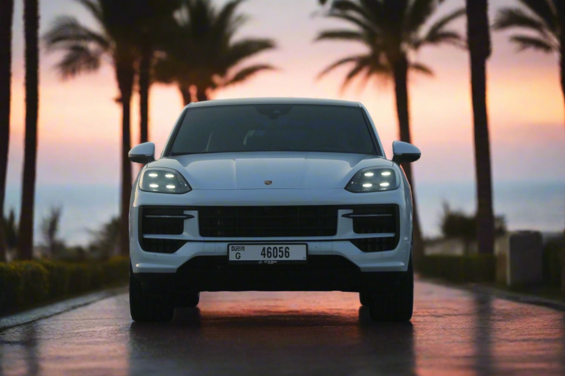 Cayenne - image 1