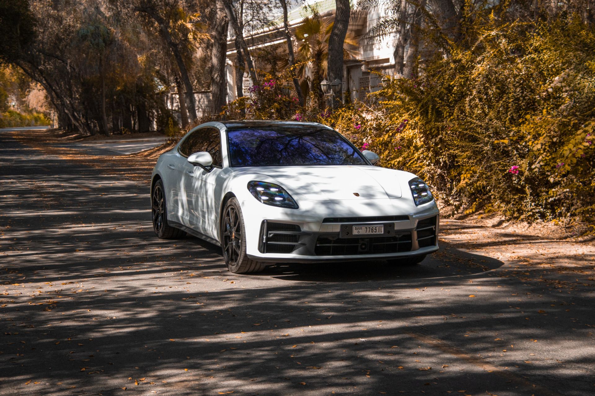 Panamera - image 1
