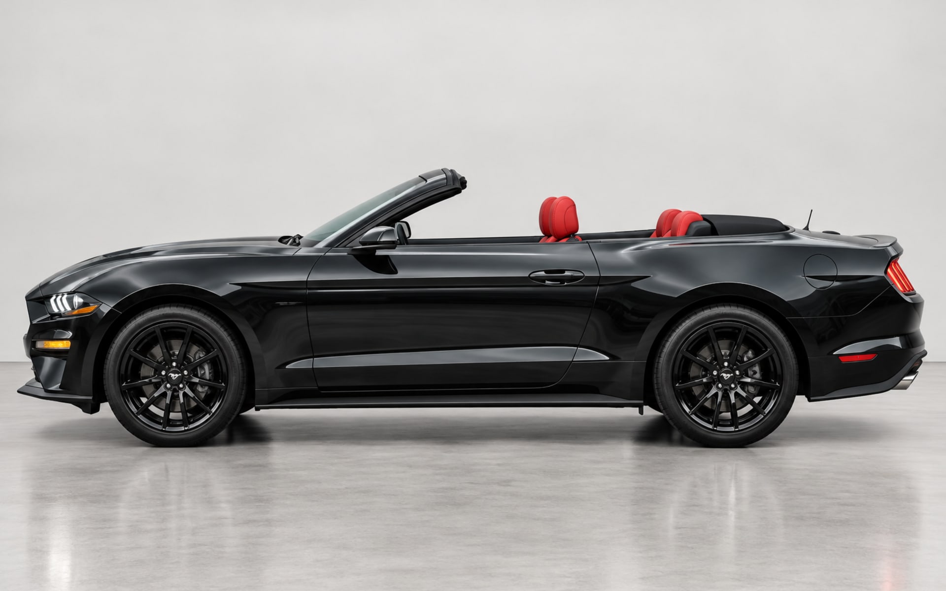 Mustang - image 1