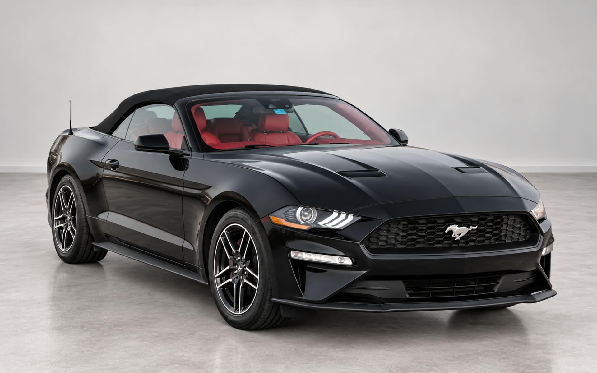 Ford Mustang image 1