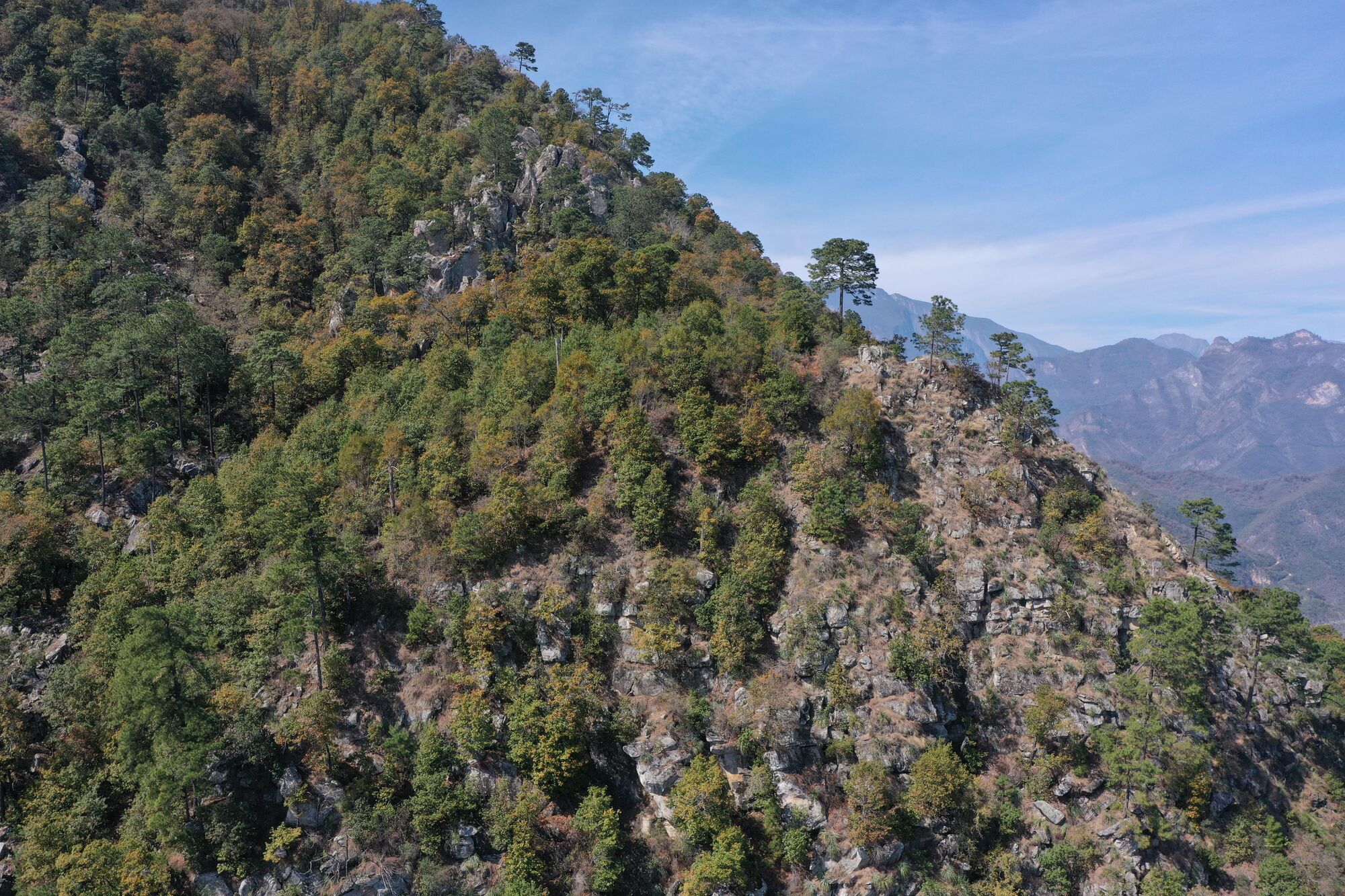 Bosque Monte Azul