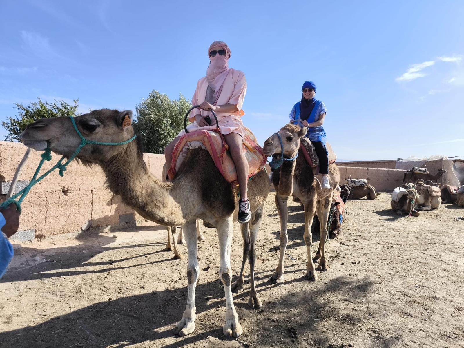 Step Out Travels Mission