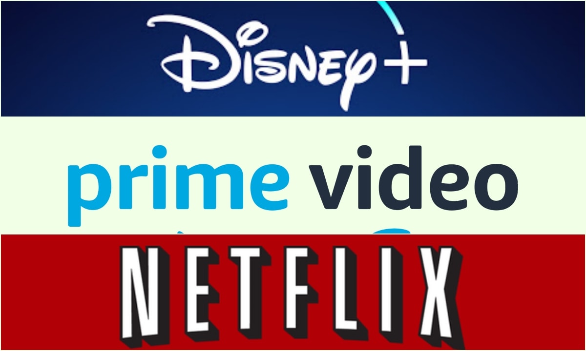 Perfil de Netflix + Disney Standar + Amazon Prime
