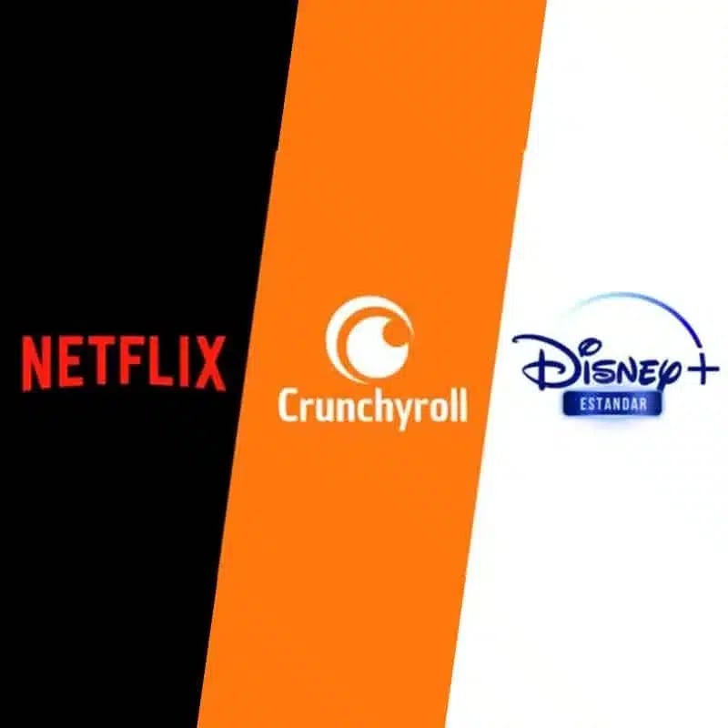 Perfil de Netflix + Disney Standar + Crunchyroll