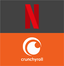 Perfil Netflix + Crunchyroll