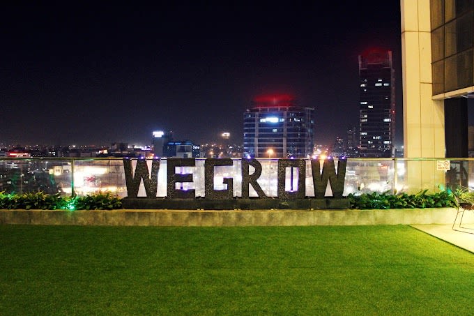 WeGrow Display Image 7