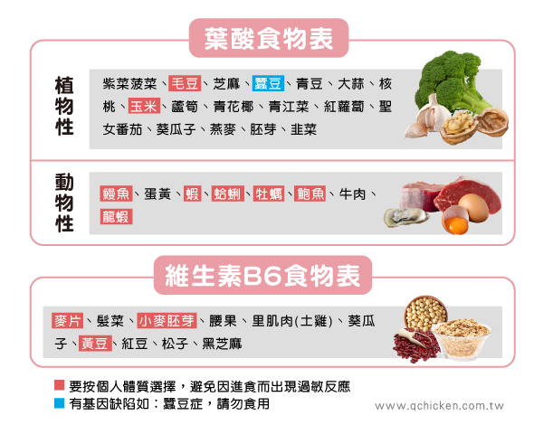 滴雞精懷孕需搭配攝取葉酸和維生素B6
