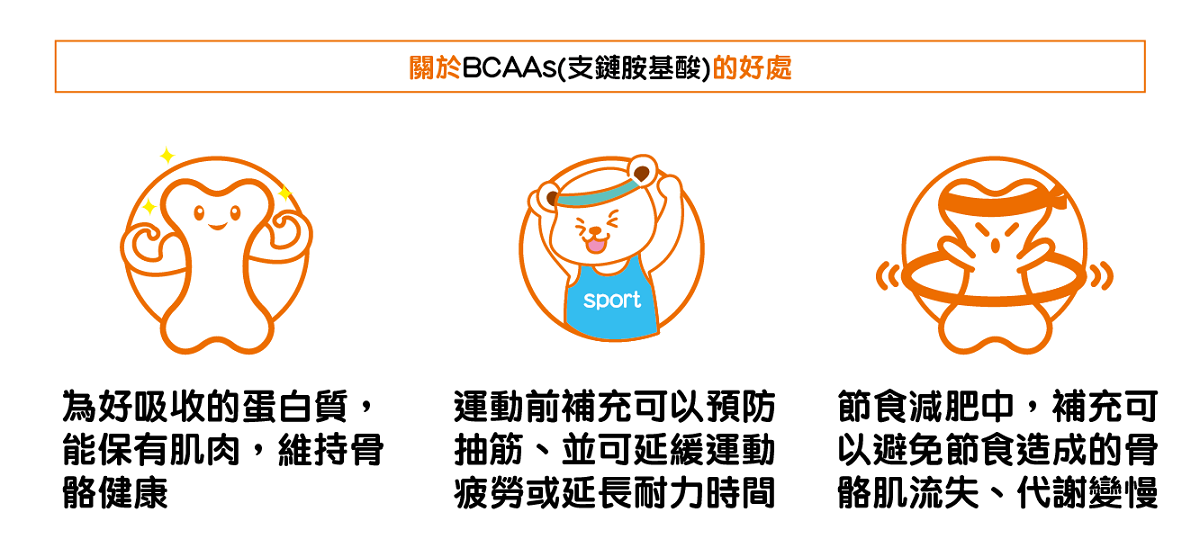滴雞精成分：支鏈胺基酸