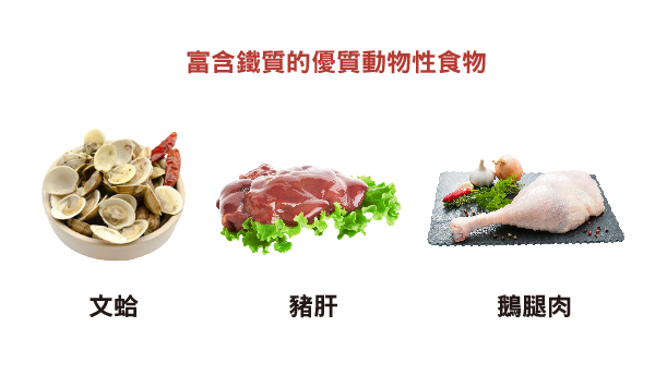 富含鐵質的優質動物性補血食物：文蛤、豬肝、鵝腿肉