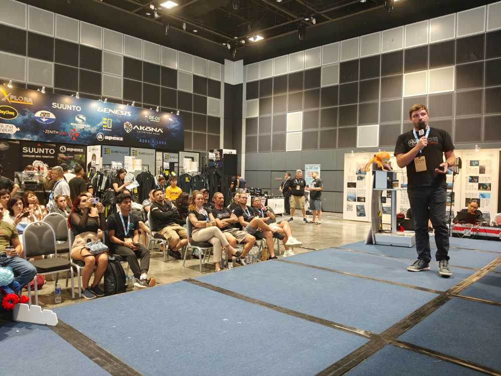 Consulting & Speaking