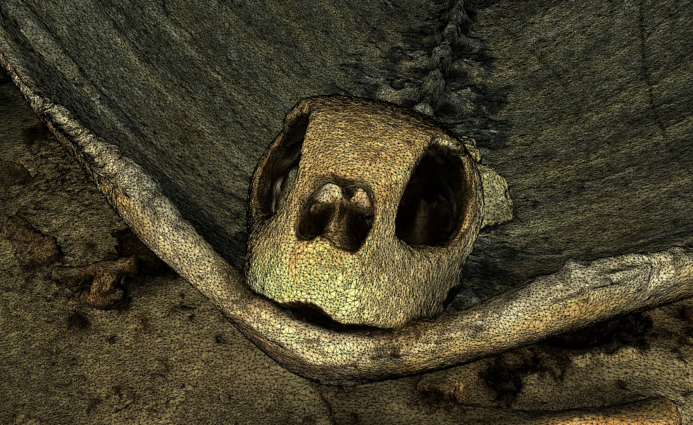 Documentary Production for Scientific Imagery