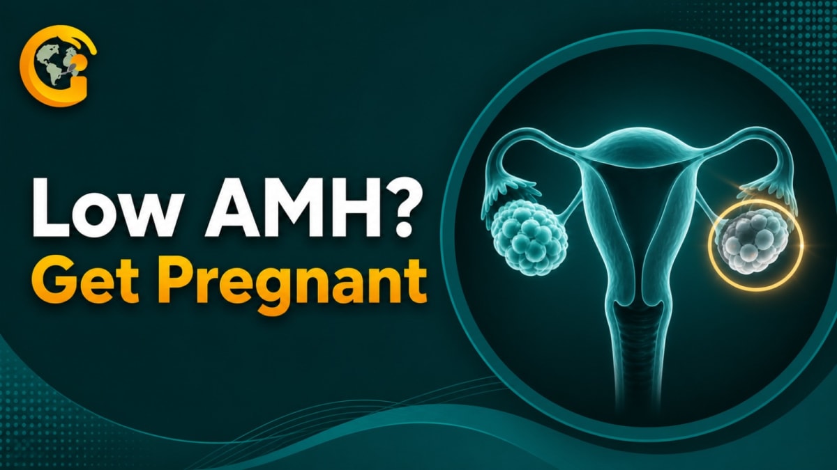 Low AMH Get Pregnant.png
