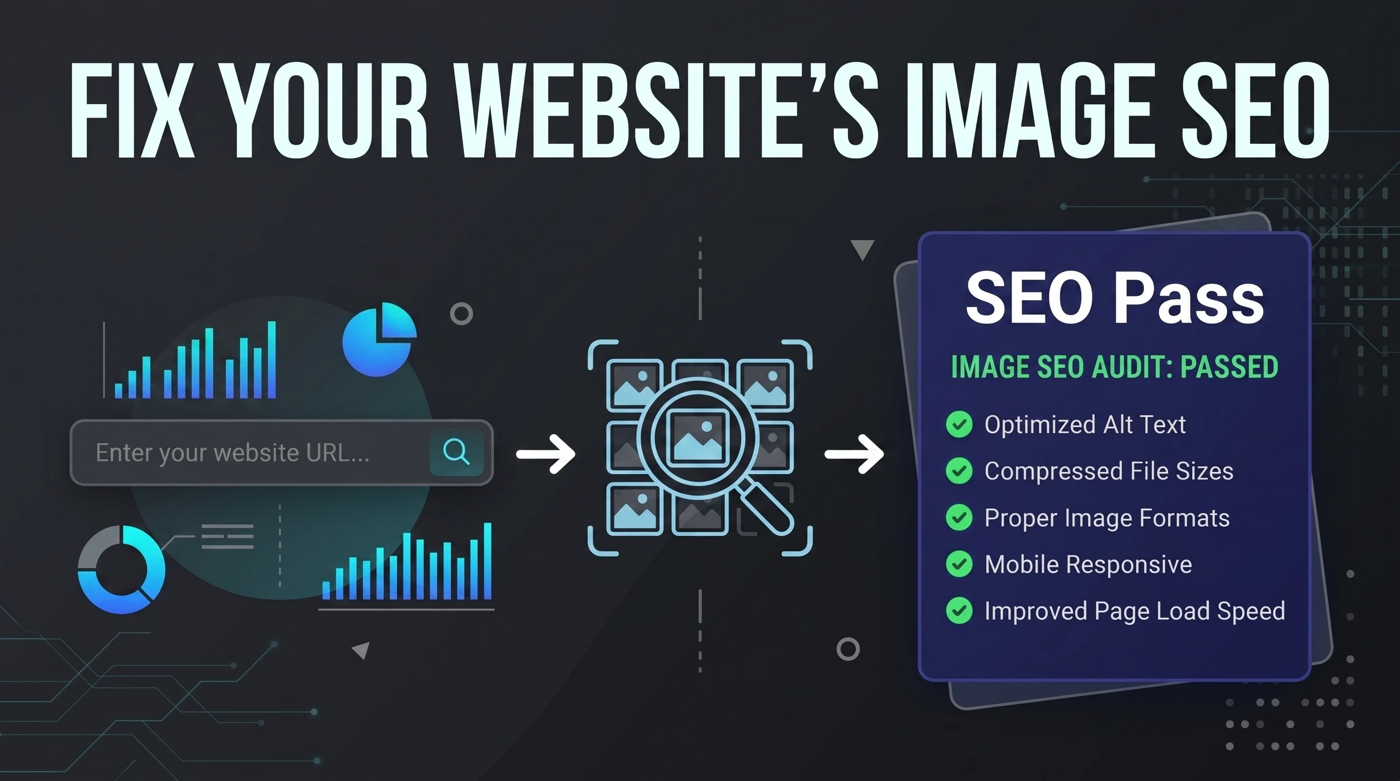 Website Image Audit Tool Interface