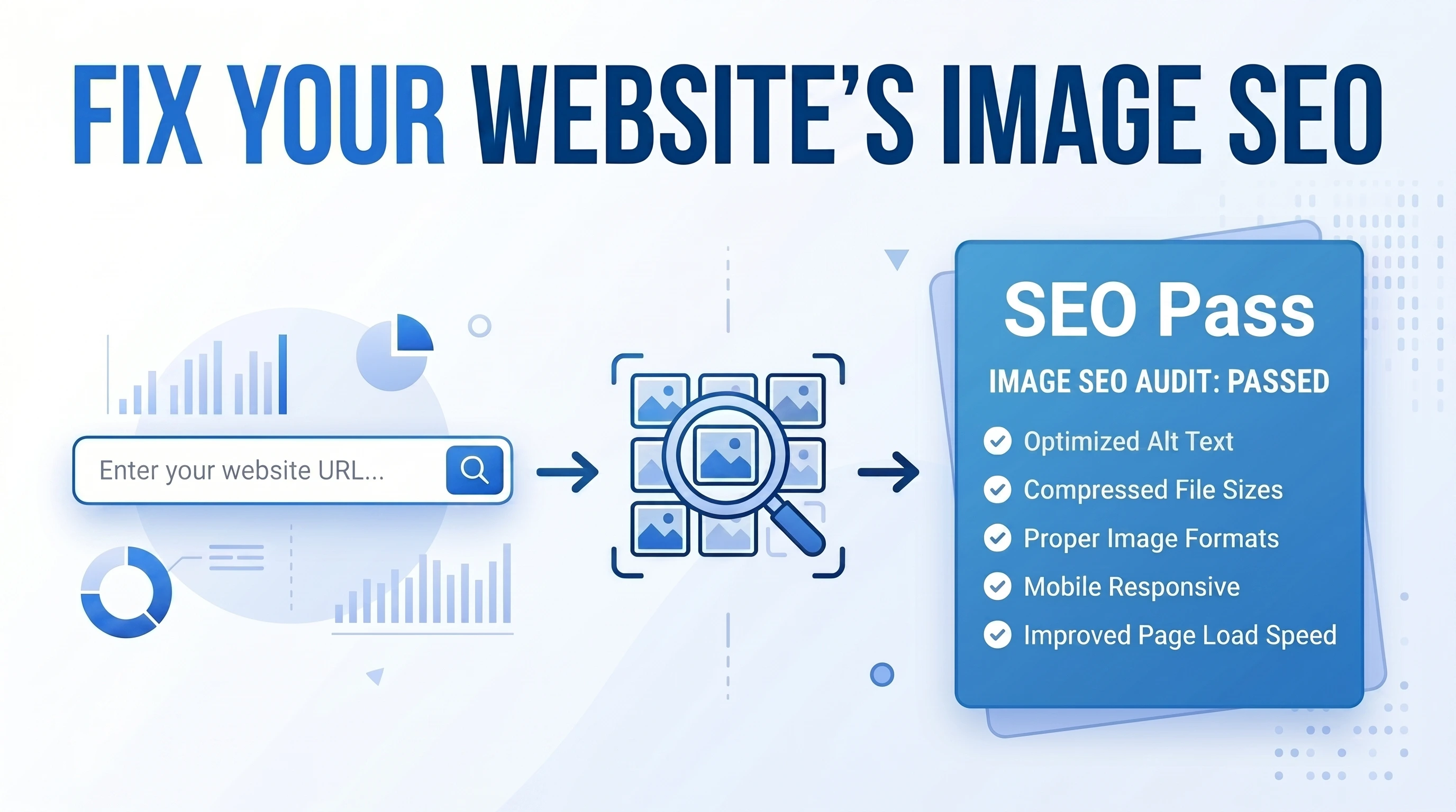 Website Image Audit Tool Interface