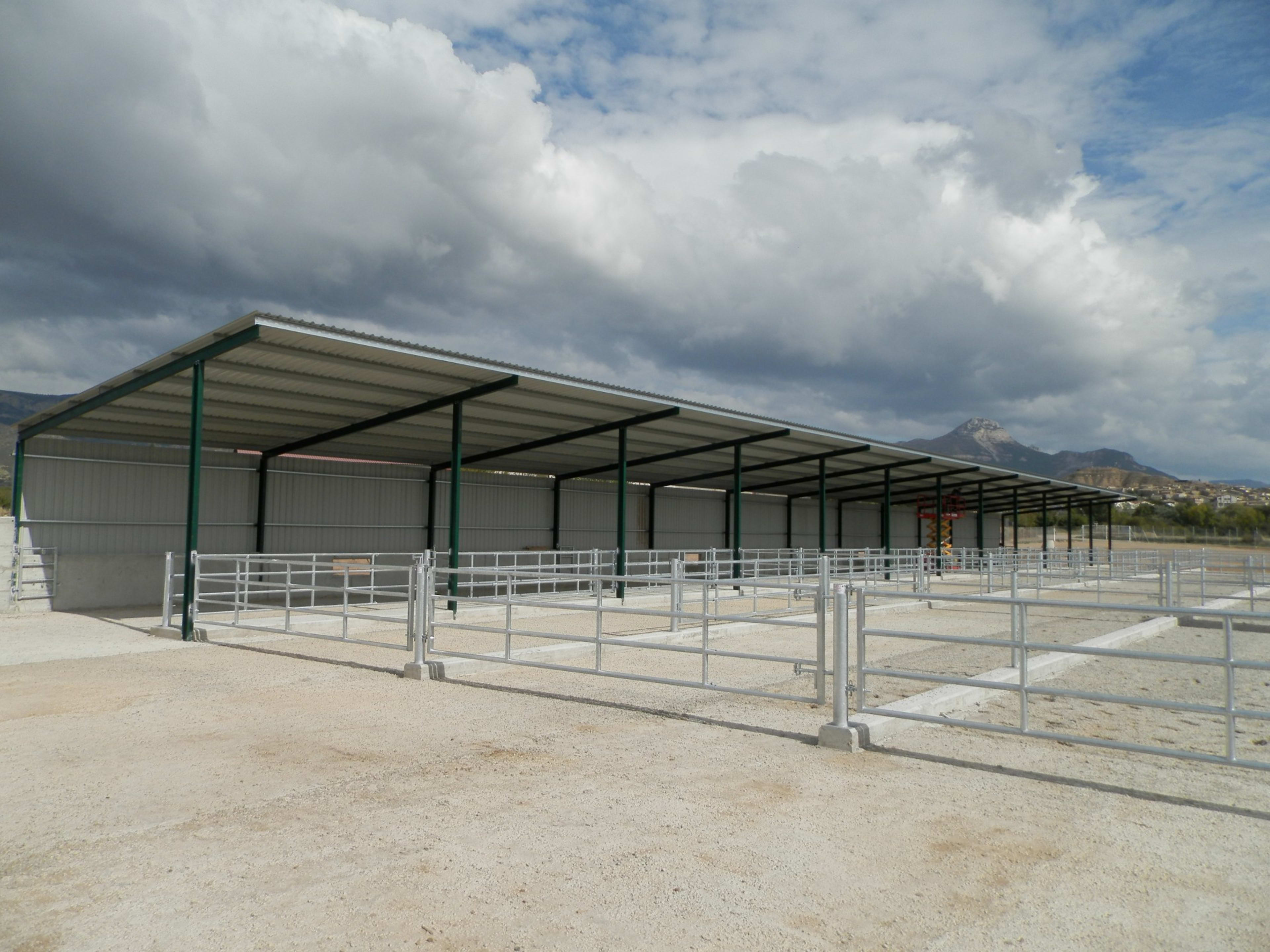 Puerta extensible terneros y vacas (4 tubos Ø60) - 3