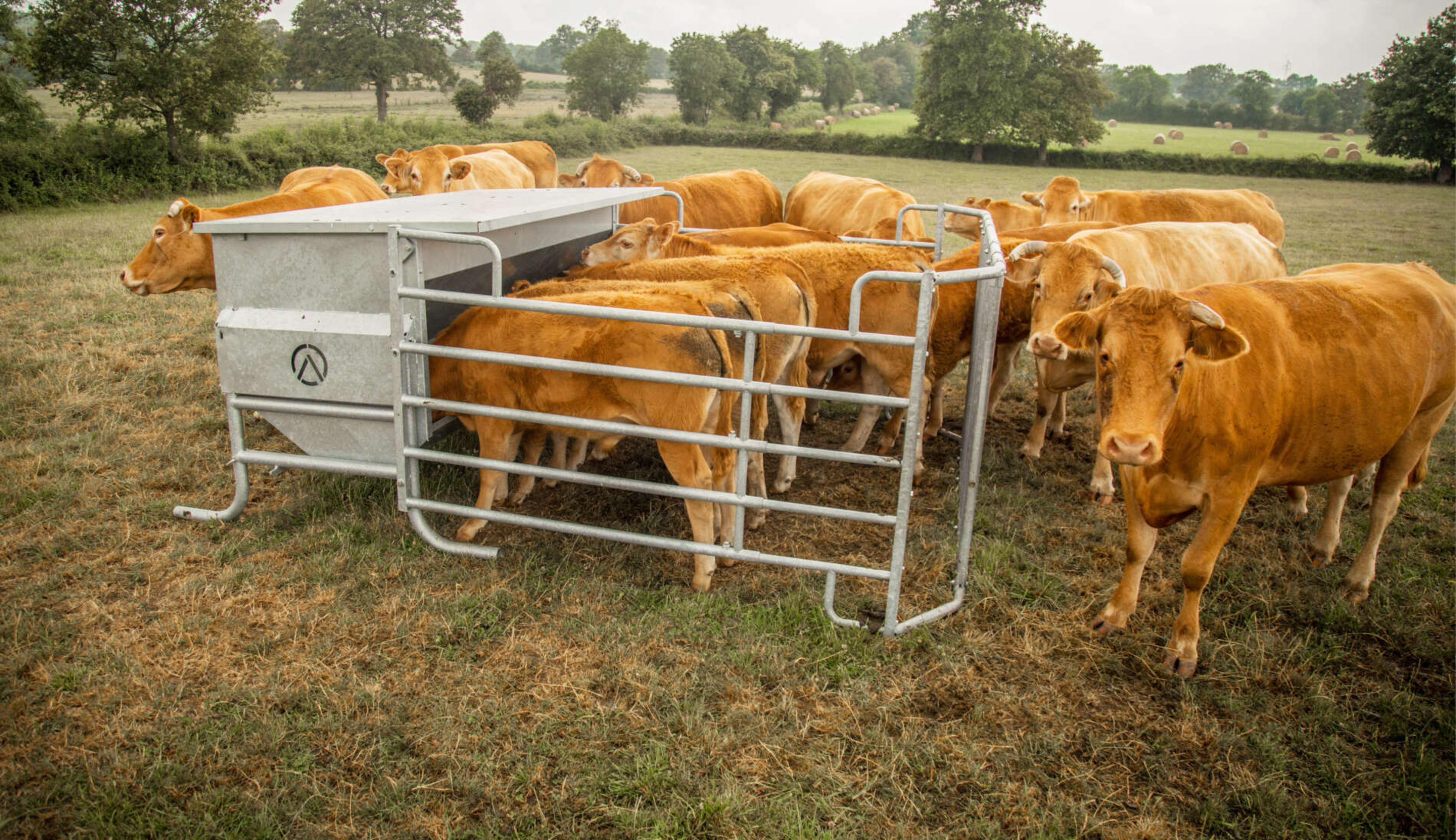 Comedero CREEP-FEEDING - 2