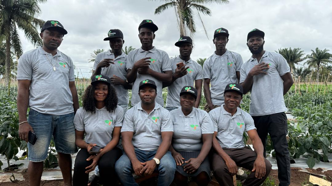 FestusCNN Agro team members