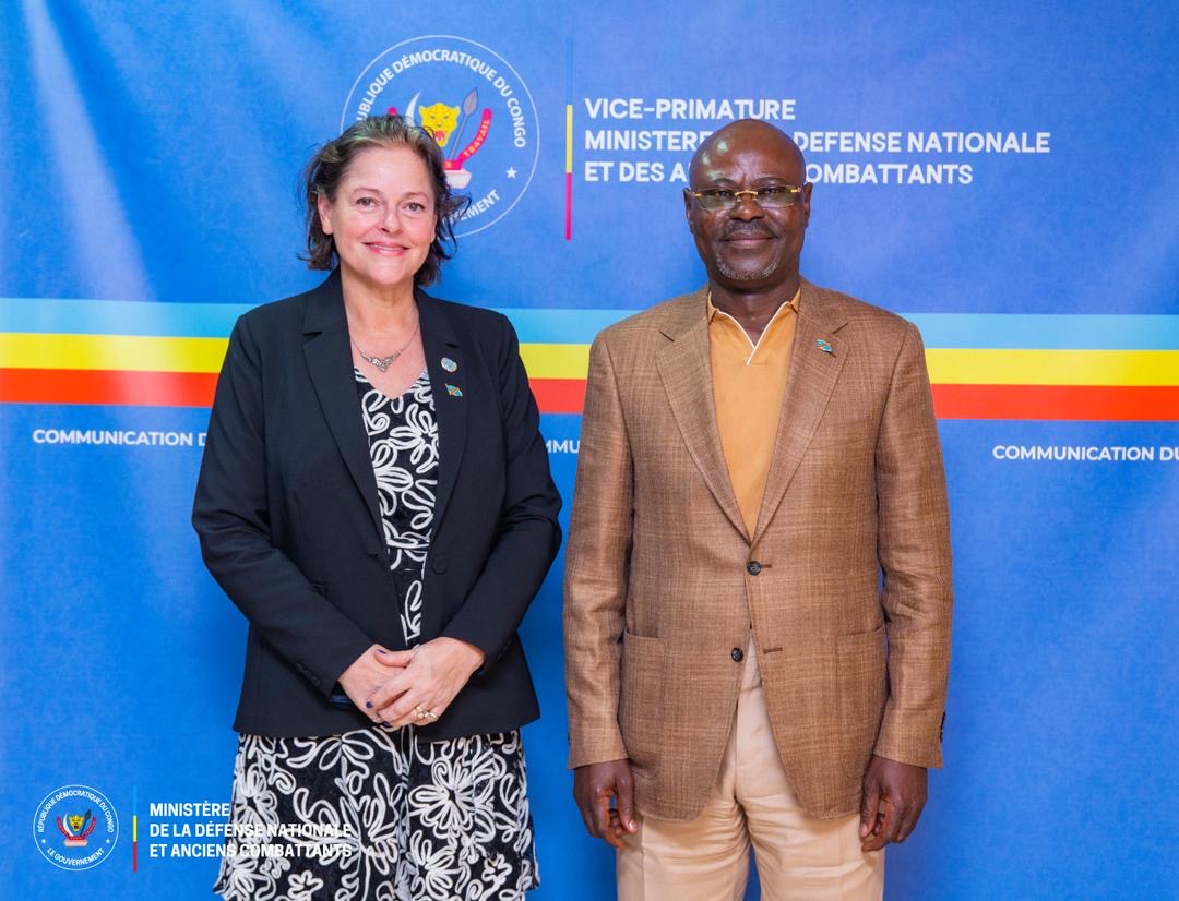 Est de la RDC : la MONUSCO appelle à renforcer la coordination ...