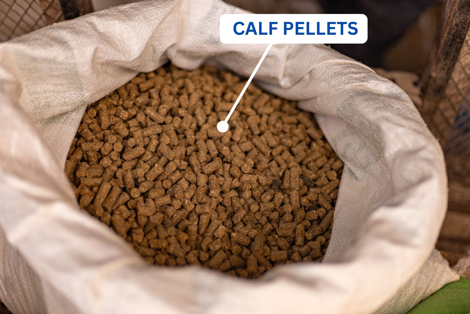 Calf Pellets