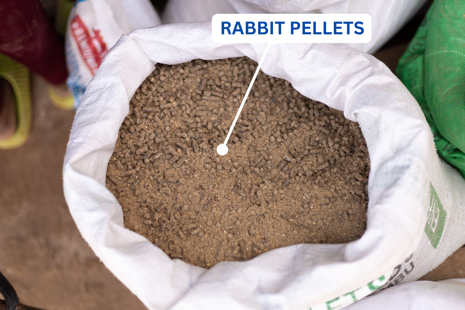 Rabbit Pellets