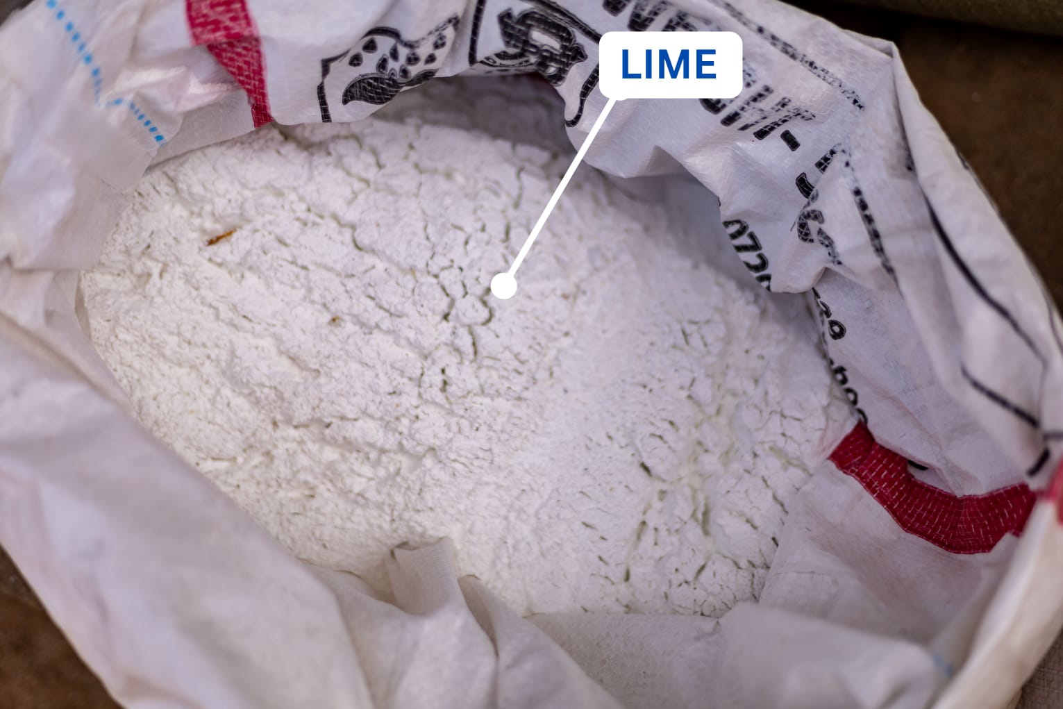 Lime