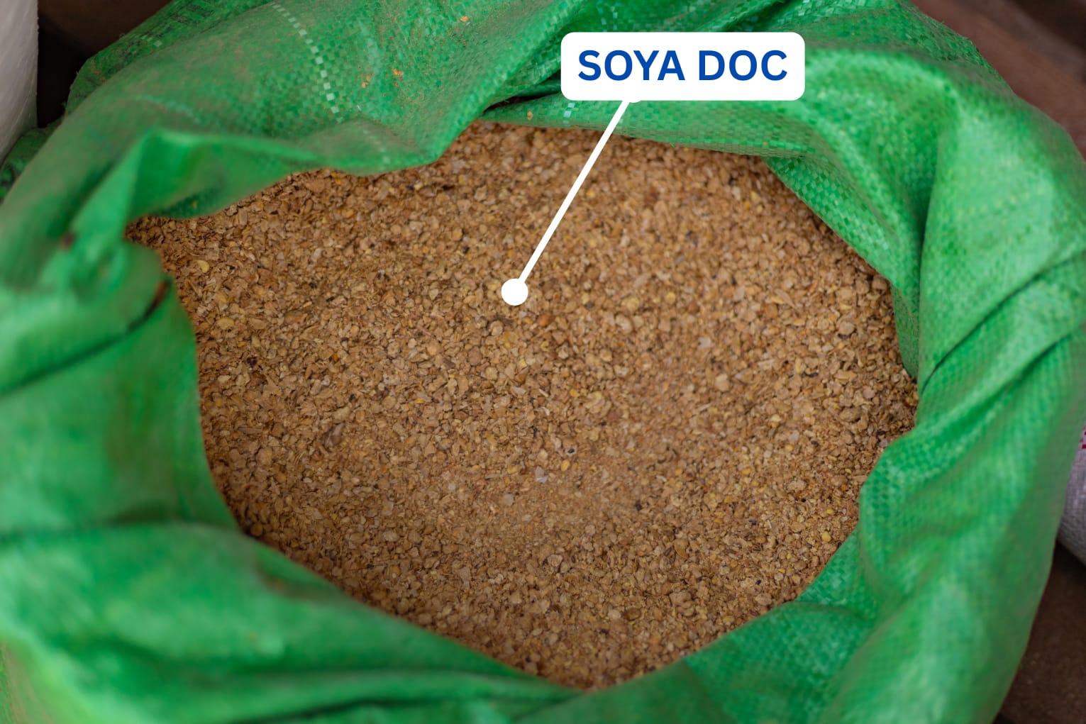 Soya Doc