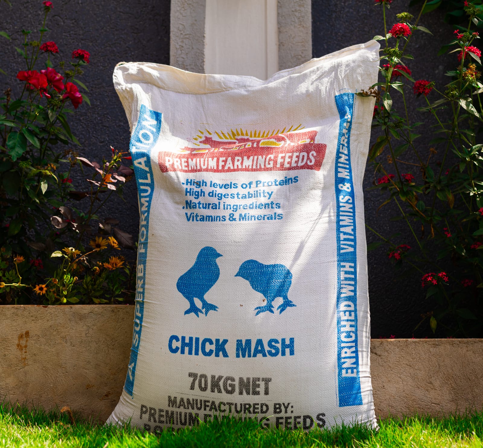 Chick Mash